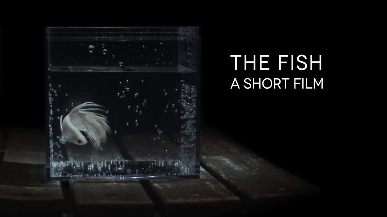 The Fish Short Film Trailer