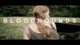 Bloodhounds on our Daily Short Picks