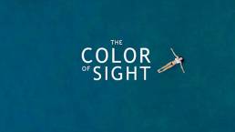 Daily Short Picks | The Color of Sight