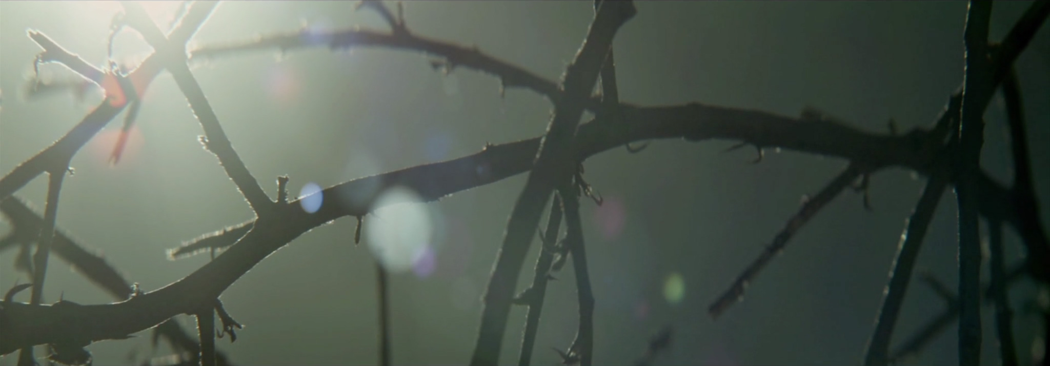 The Most Inspirational Cinematography - Tumbleweed!