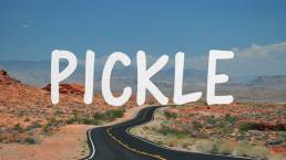 Pickle | Crowdfunding Picks We Dig