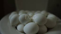 Egg || Daily Short Picks