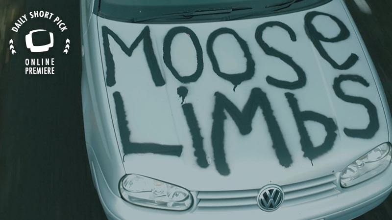 Moose Limbs // Daily Short Picks