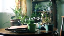 Uproot // Daily Pick