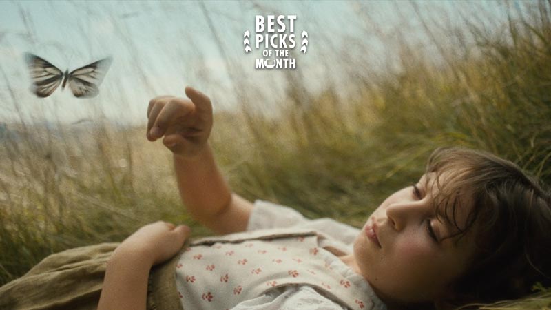 Never Again // Best Picks of The Month