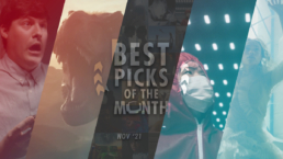 Best Picks of The Month - November 2021