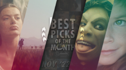 Best Picks of the Month // November 2022