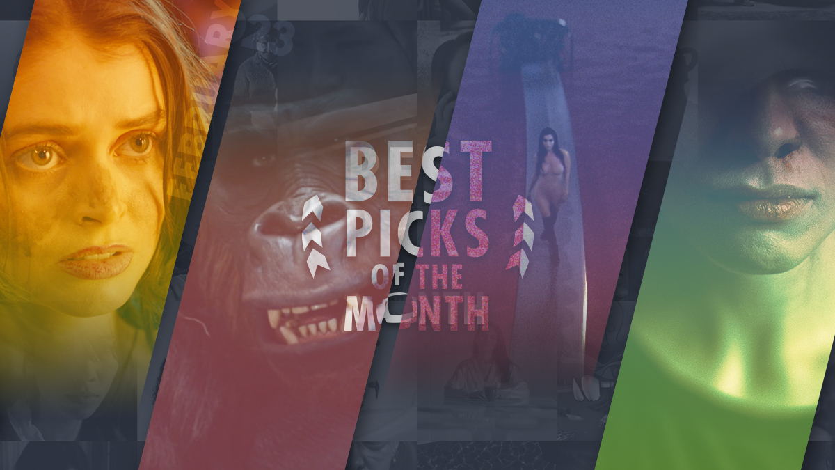 Best Picks of The Month | February 2023