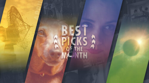 Best Picks of The Month: April 2023