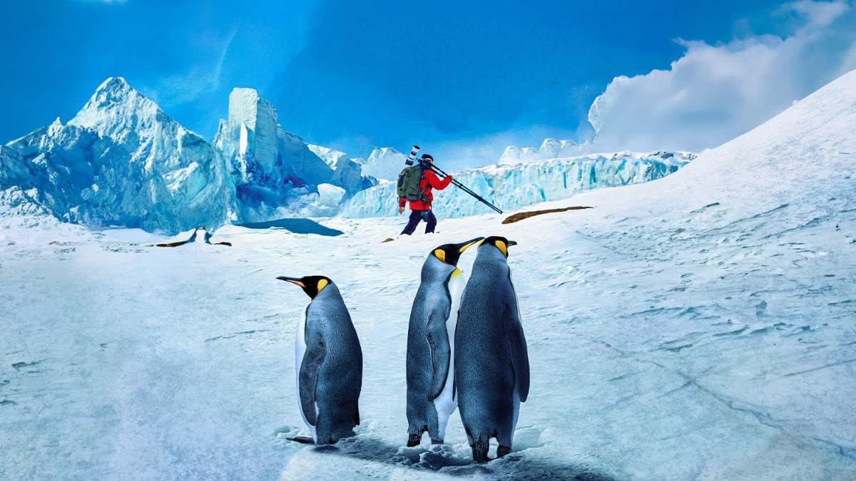 Coming Soon – The Perfect Shot: Antarctica